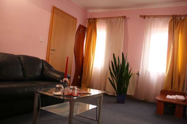 Отель Hotel Adriatico Тимишоара-31